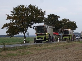 Galerie Schnappschüsse anzeigen.